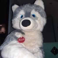 Cane Husky Trudi