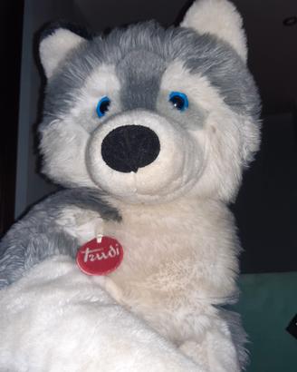 Cane Husky Trudi