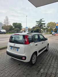 Fiat Panda Neo patentati 1.2 benzina