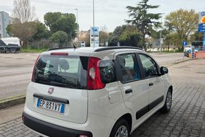 Fiat Panda Neo patentati 1.2 benzina
