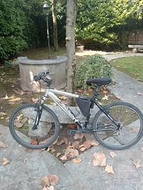 Bicicletta Carraro