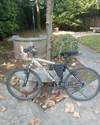 Bicicletta Carraro