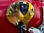Immagine 12