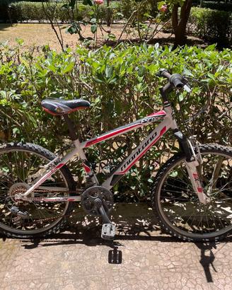 bicicletta bambino