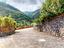 Immagine 25