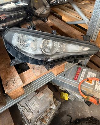 FARO DESTRO GIULIA 2018