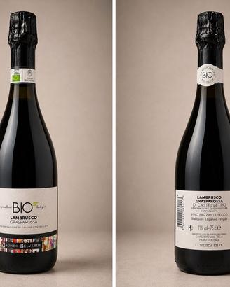 VINO LAMBRUSCO BIO GRASPAROSSA
