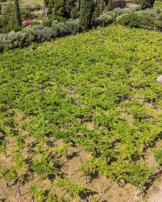 Terreno di 4230 m² a Grottaferrata