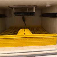 Incubatrice automatica