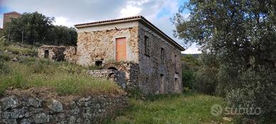 Bellismo rudere da ristrutturare con uliveto