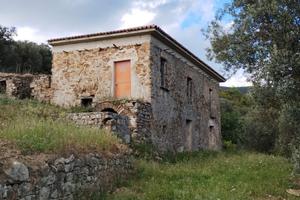 Bellismo rudere da ristrutturare con uliveto