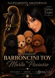 Barboncini Toy cuccioli Red