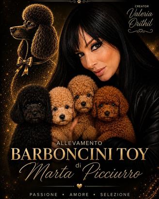 Barboncini Toy cuccioli Red