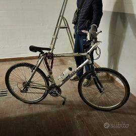 Bicicletta tipo Mountain bike