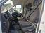 Immagine 7