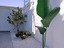 Immagine 5