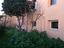 Immagine 8