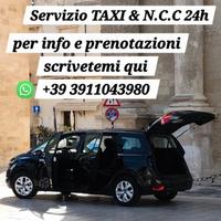 Licenza N.C.C (noleggio con conducente)