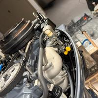 Selva kingfish 9,9/25