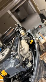 Selva kingfish 9,9/25