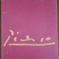 VOLUME INCONTRI CON PICASSO IN  SOLI 700 ESEMPLARI