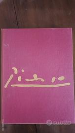 VOLUME INCONTRI CON PICASSO IN  SOLI 700 ESEMPLARI