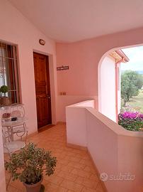 Pula ampio appartamento CIN IT092050C2000P0317