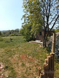 TERRENO 1250 mq recintato a San Michele del Carso 