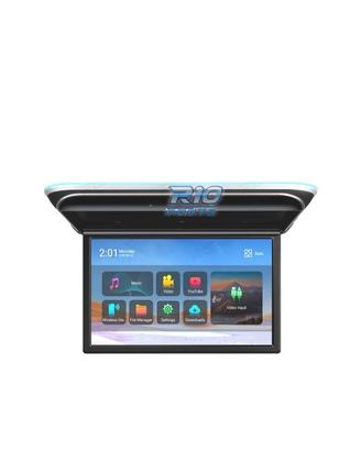 SCHERMO PER TETTO FULL HD DA 17,3"