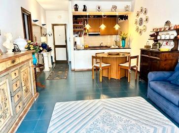 Appartamento con terrazza sulle Apuane