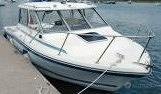 bailyner tropy 7.50 mercruiser 5000