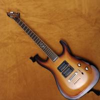 Esp Ltd SC606