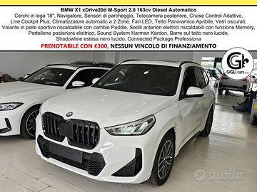 BMW X1 20d xDrive MSport Tetto Navi C.18" Cam M-