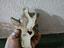 Immagine 3