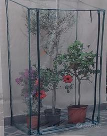 Serra verdemax mod. Buganvillea