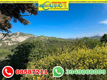 Rudere con 10 ettari di terreno