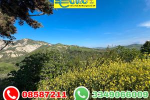 Rudere con 10 ettari di terreno