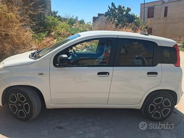 new panda 