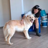 RIKO splendore in gabbia