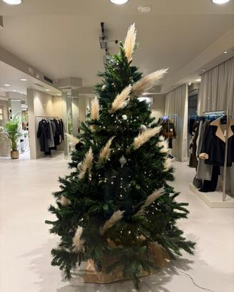 Albero di Natale + luci