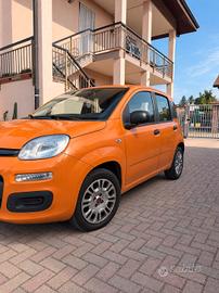 Panda 2020 gpl