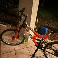 Bicicletta   frejus fm 626