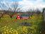Immagine 6