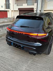 Macan
