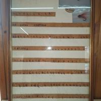 quadro 50 x 75 con mosche camolera