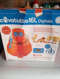 Incubatrice Covatutto L16