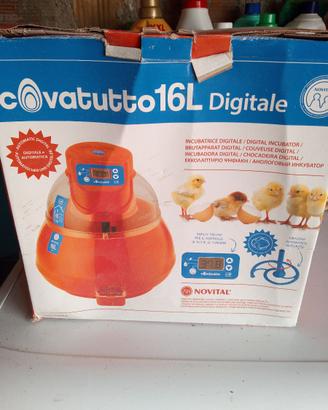 Incubatrice Covatutto L16