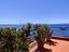 Immagine 29