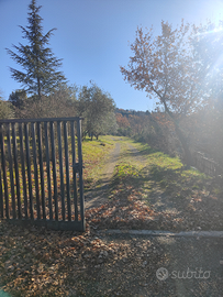 Terreno agricolo edificabile