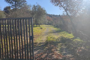 Terreno agricolo edificabile